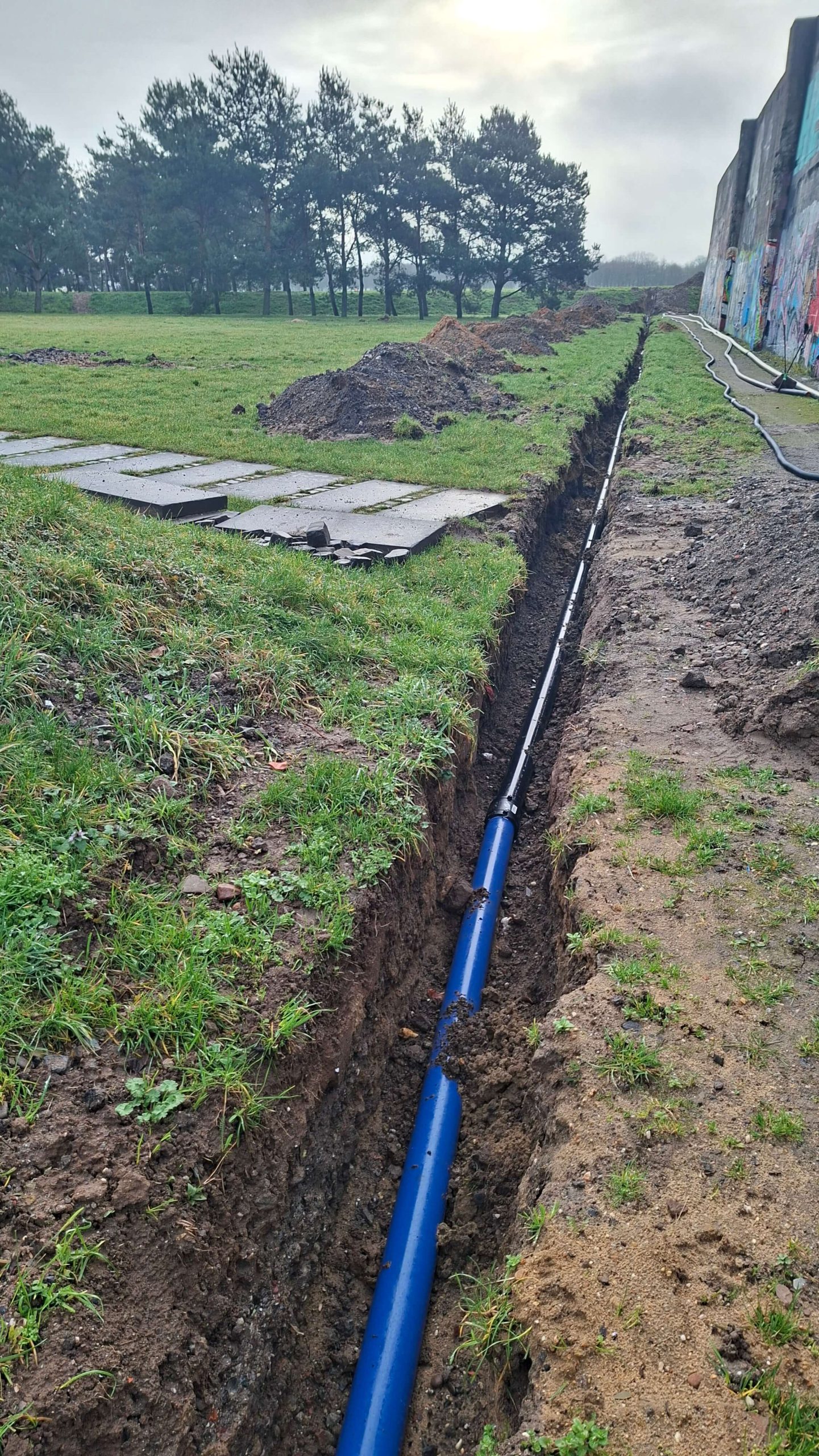Verlegung einer blauen Wasserleitung in einem schmalen Graben entlang der Wiese im RheinPark.