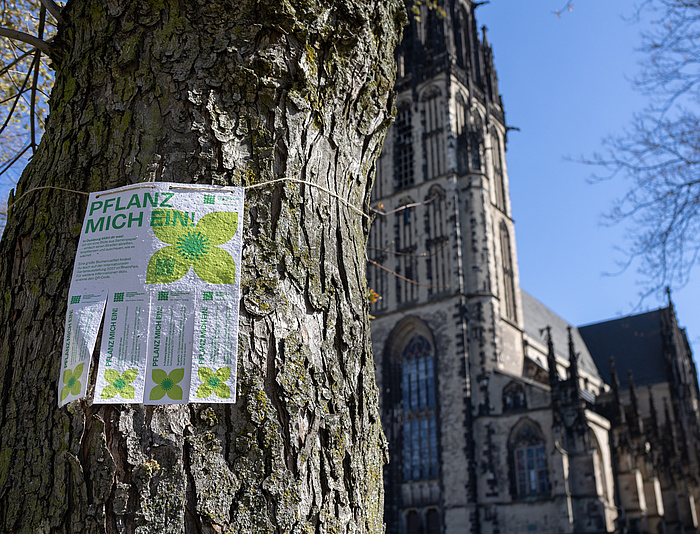 08.04. | IGA wird im Stadtgebiet noch sichtbarer