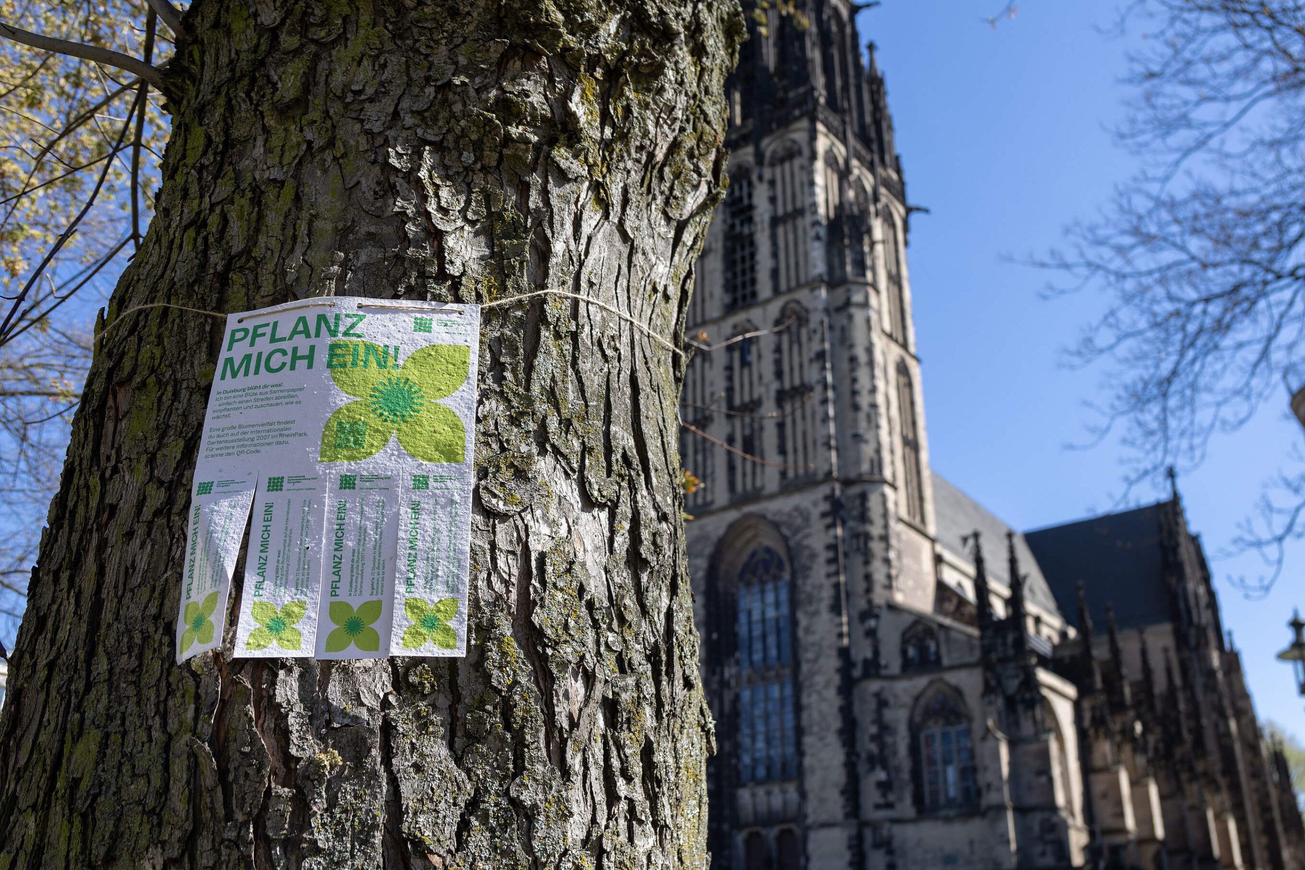 An einem Baum hängt bedrucktes Samenpapier zum Abreißen. Darauf steht „Pflanz mich ein!“ sowie eine Anleitung zum Einpflanzen im IGA-Design.