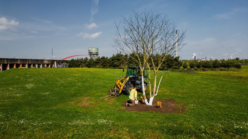 Projekt: Grüne Massnahmen/ Platz am Wasserturm