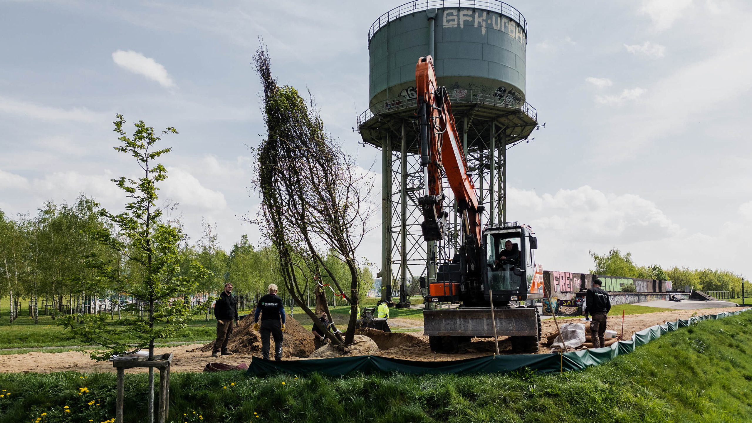 Bagger setzt einen großen Baum mit Wurzelballen am Fuß des Wasserturms ein, drei Beschäftigte begleiten die Pflanzung.