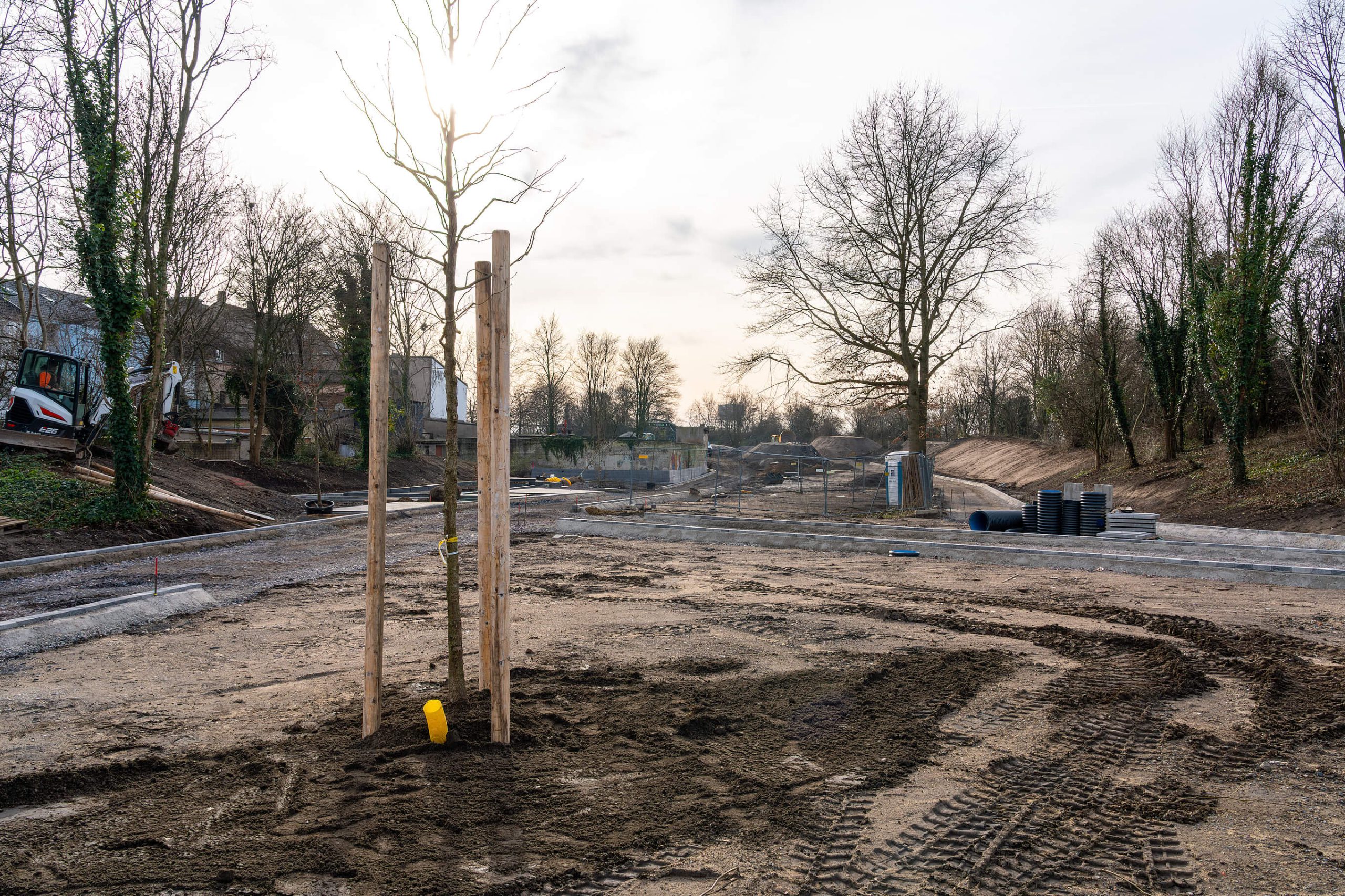 Umbau am Grünen Ring Süd: frisch gepflanzter Baum mit Holzstützen auf offener Erdfläche, dahinter neue Wege, Bagger und Rohrmaterial.