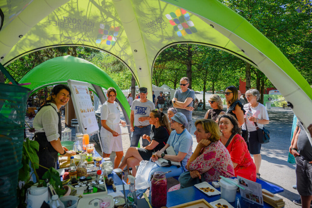 Projekt: Workshops